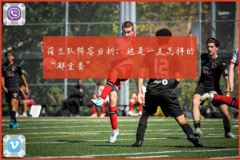 荷兰队阵容分析：这是一支怎样的“郁金香”