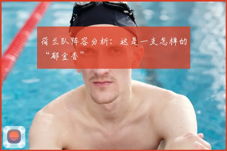 荷兰队阵容分析：这是一支怎样的“郁金香”