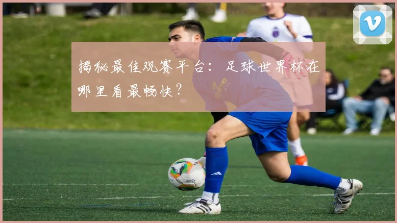 揭秘最佳观赛平台：足球世界杯在哪里看最畅快？
